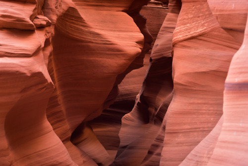 Canyon X Antelope Canyon in Arizona is a tight canyon formed by successive flash floods. Rivers and 
