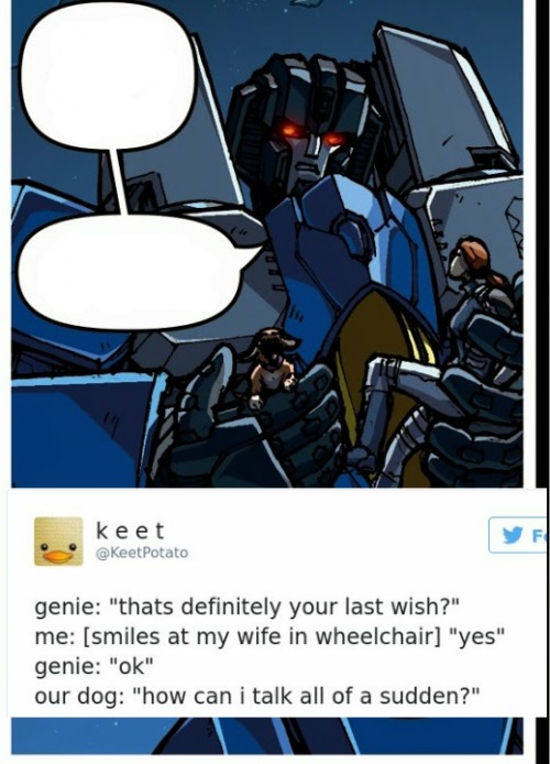 squiddly-diddily:anyway,have some memes