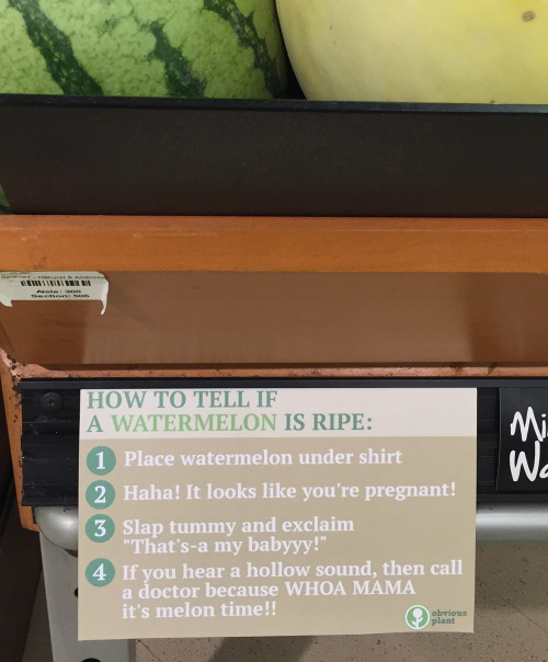 obviousplant:  How to tell if fruits and veggies are ripe 