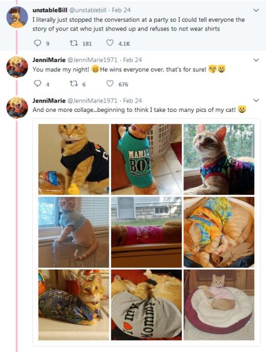 towerofglass:fuzzd:  lord-kitschener:  rnoonpie:  thenatsdorf: “1. I don’t have a cat. 2. I DON’T HAVE A CAT.” (via brenaclifton) you do now   Congrats on your new cat   This is how owners get their cats.   i clicked the source and… it’s