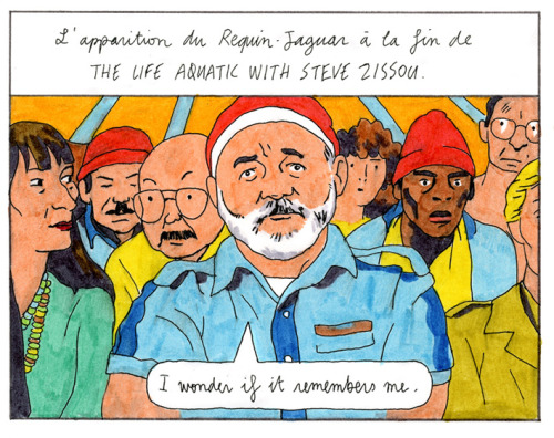 the life aquatic with steve zissou