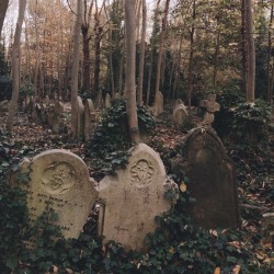 hiboulette:Highgate Cemetery, London—October