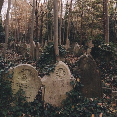 hiboulette: Highgate Cemetery, London—October 31, 2015