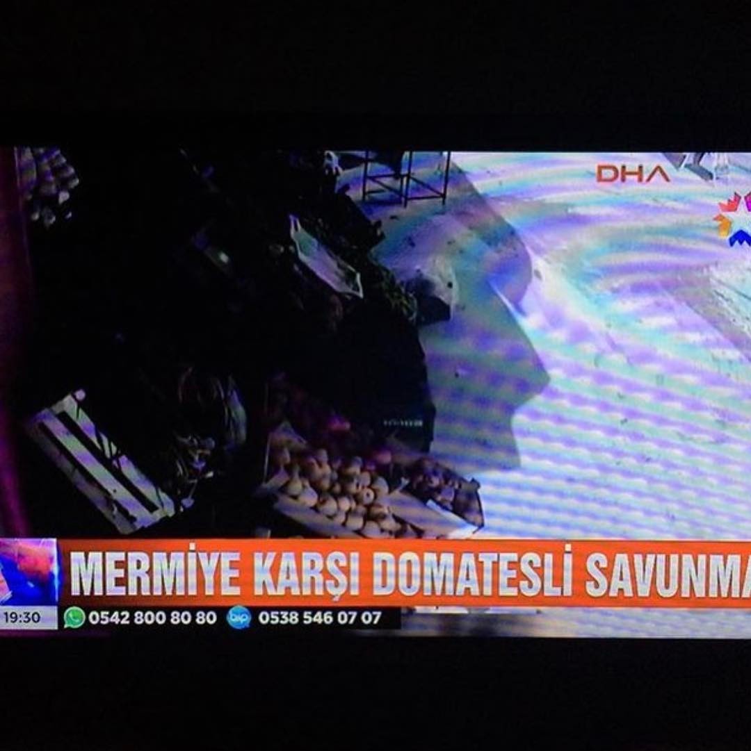 DHA
MERMYE KARSI DOMATESLİ...