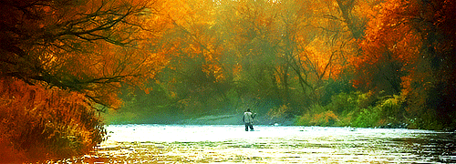 thesilenceofthefannibals-blog:  Hannibal + Scenery