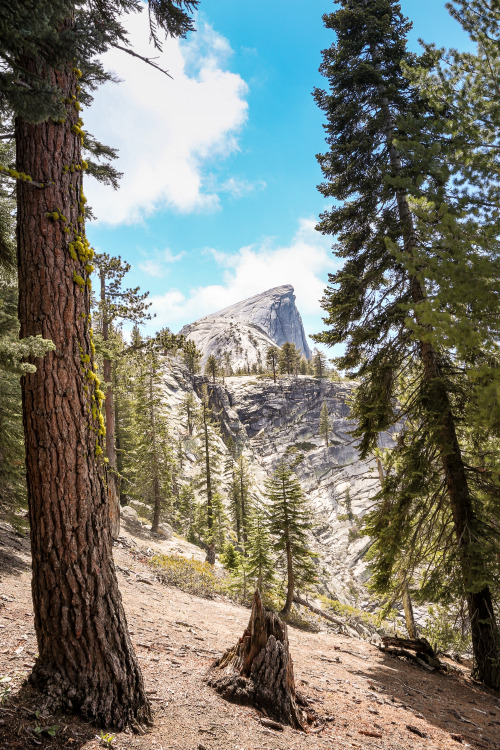 the hike to half dome.