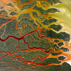 Porn photo dailyoverview:Everglades National Park in