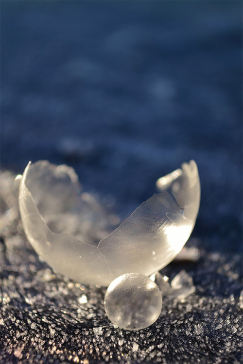 actegratuit:  Frozen Bubbles! Washington-based photographer Angela Kelly captured these breathtaking images of soap bubbles freezing at 15,8°F (-9°C) for her “Life in a bubble” series. 