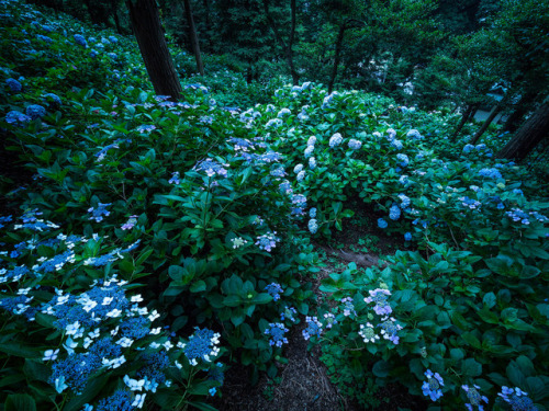 90377: PhoTones Works by Takuma KimuraWeb Site(JP):Takuma Web Site