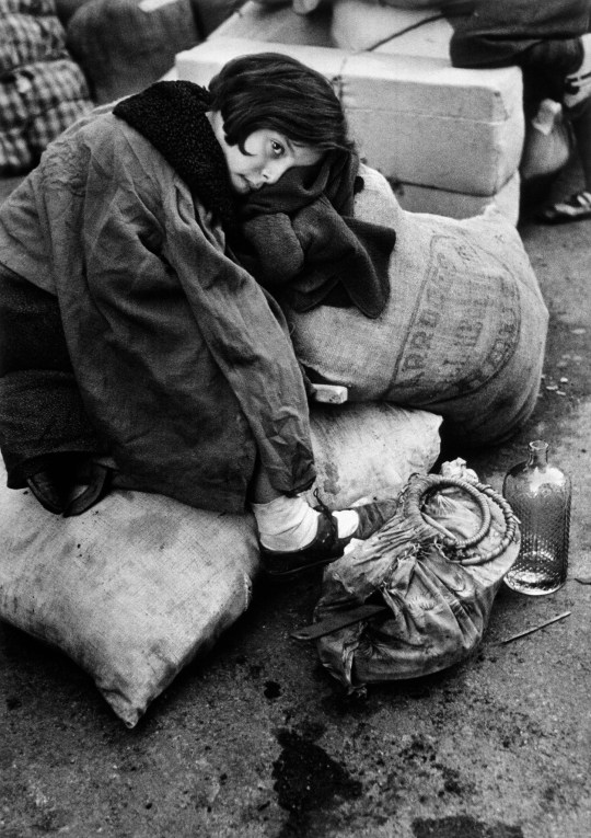 gacougnol:Robert CapaRefugee GirlBarcelona, Spain, 1939