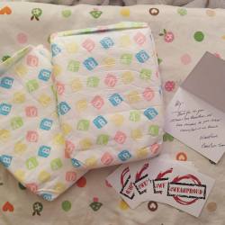 aballycakes:  I got sent a sample of the BareBum diapers to review. They are super cute! :3 #abdl   Cute diapers