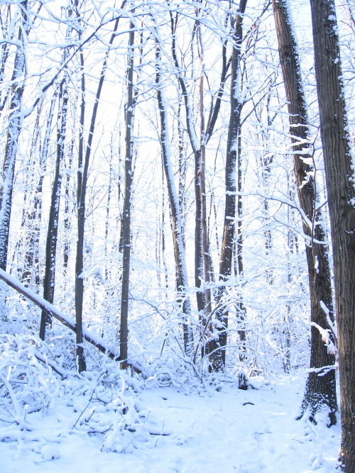 massachusetts, maine, and new hampshire places that are fucking gorgeous and that I miss with all my