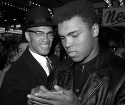 the60sbazaar:  Malcolm X and Muhammad Ali