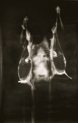 objectoccult:[X-ray image of Francis Bacon’s Painting. Photo: The Museum of Modern Art, Department of Conservation]