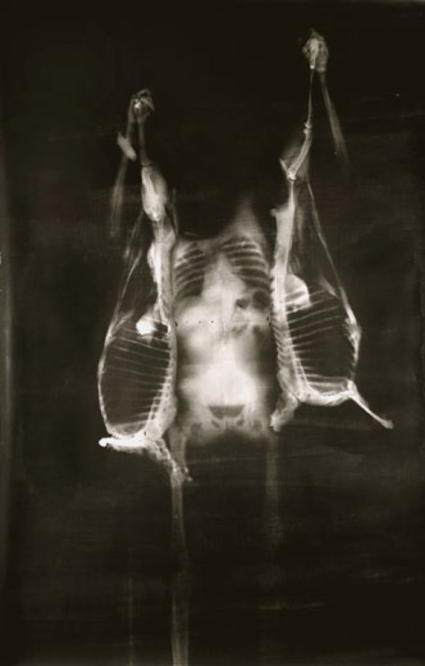 objectoccult:[X-ray image of Francis Bacon’s Painting. Photo: The Museum of Modern Art, Department o