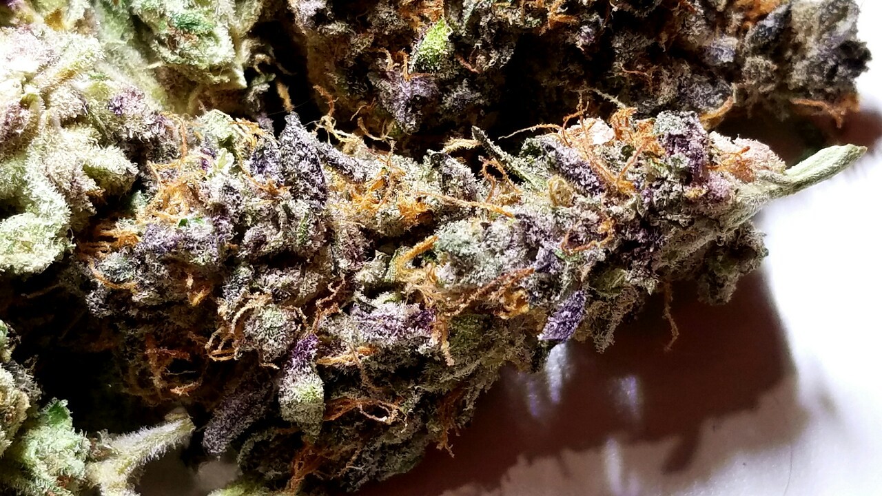 420stationusa:  Stay High And Check Out Our Store Here!!