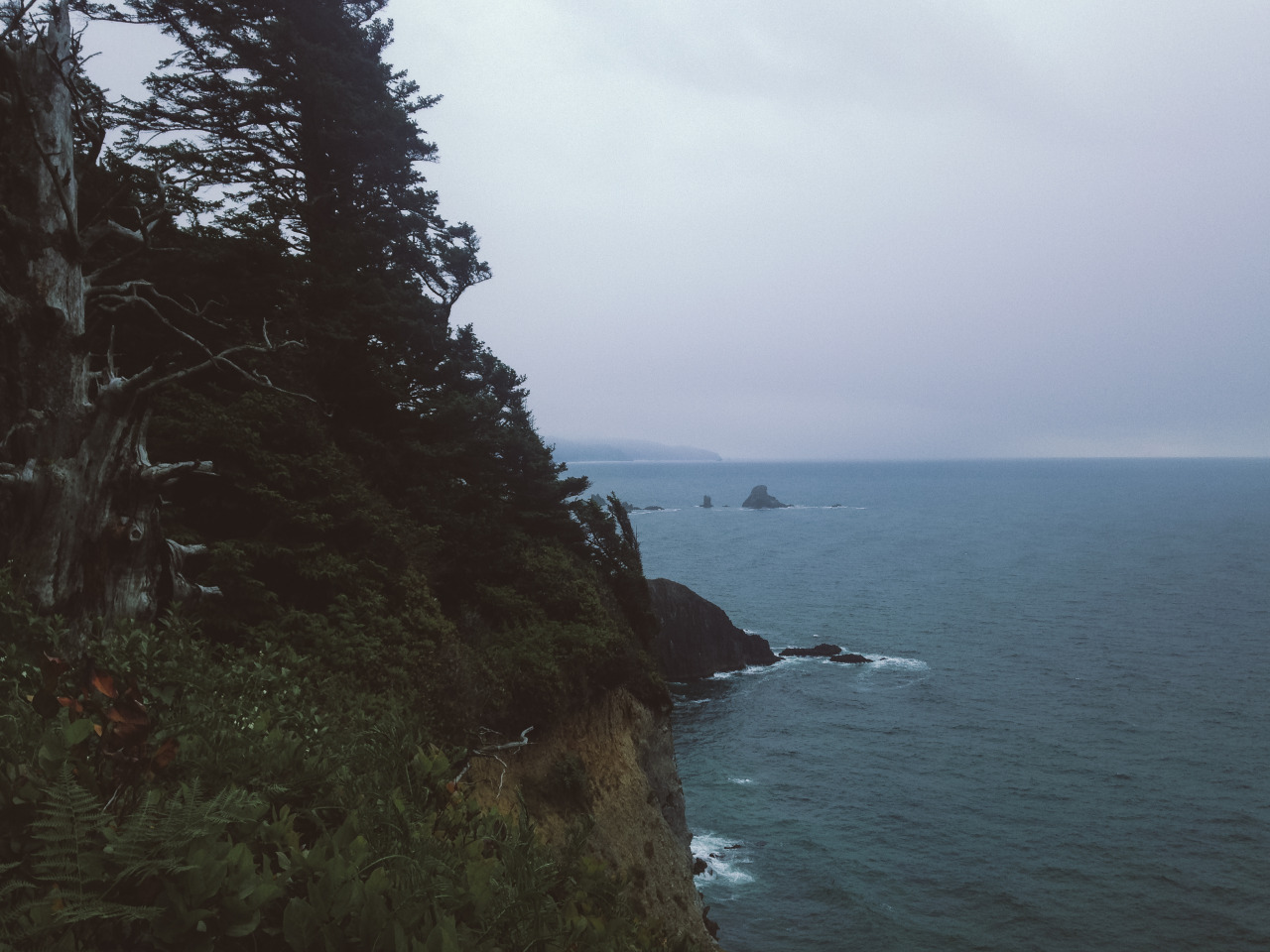 leaberphotos:  And with the rising sun, I arose from ash and dust Oregon Coast 