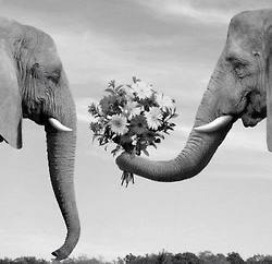 with-tears-in-the-eyes:  Kindness unter We Heart It.