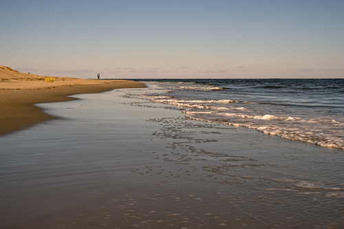 A Winter Day at the BeachPlum Island, MAMinolta MD Rokkor 35-70mm f/3.5 on Sony A7