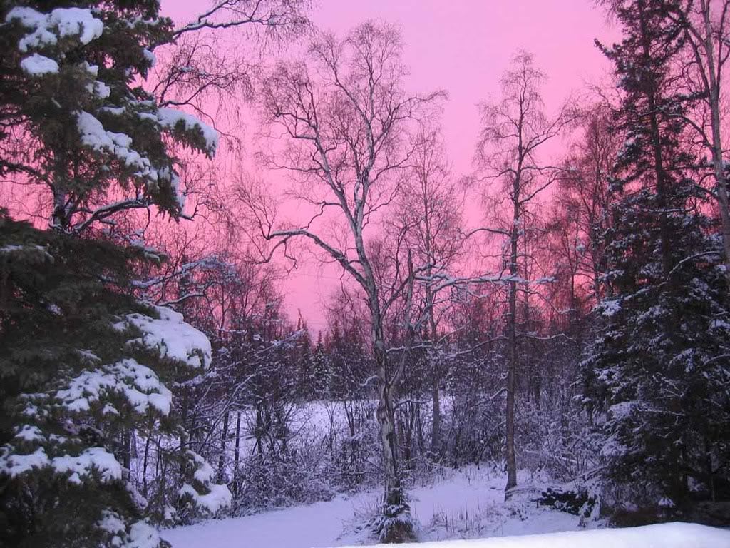 pink sky