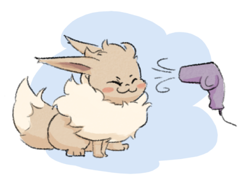 Make sure to properly dry your Eevee after a bath!