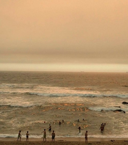seashellesbians:hazy summer lesbians