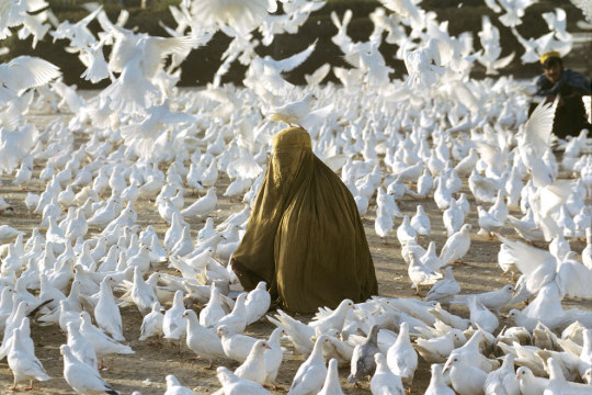 ‘Pigeon feeding near Blue Mosque’, 1991 // Steve McCurry.