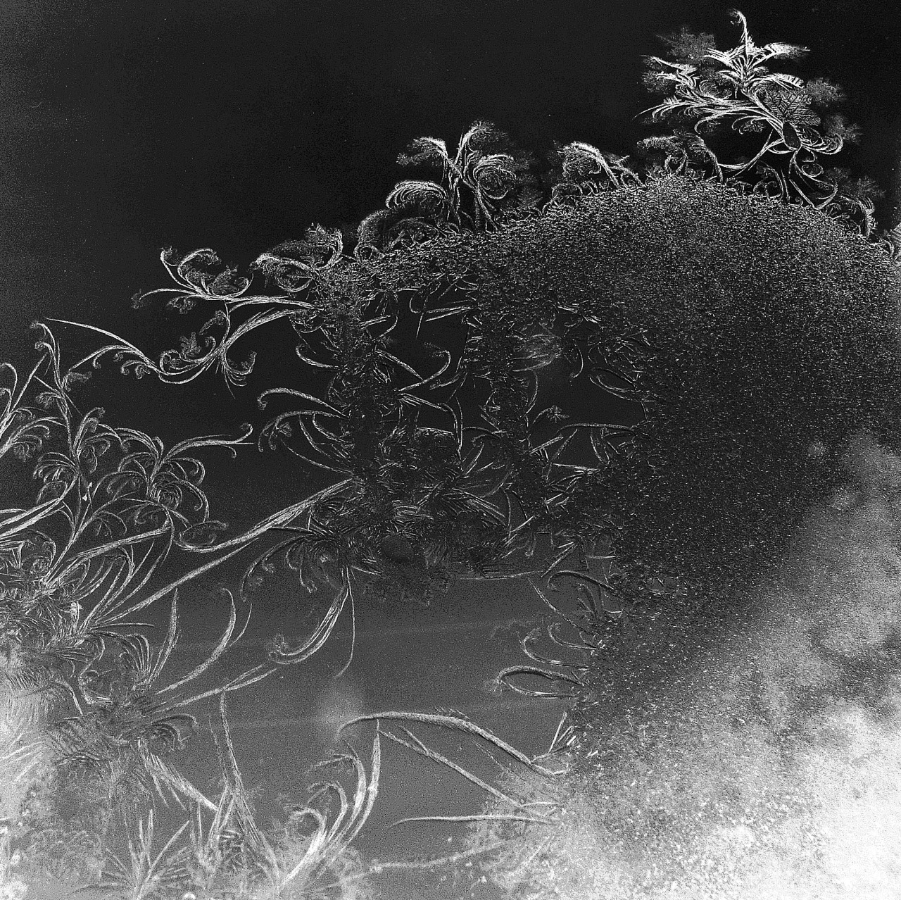 laramsey:  Frost formations on my window. Frost can be beautiful. 