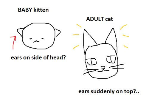 Togruta Lekku/montral Development Ideas?? Based This Off Of Kittens And How Functionally The Montrals