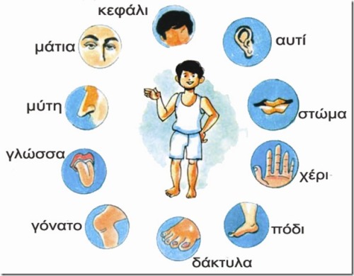 Basic body parts in Greek.