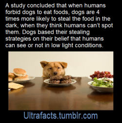 ultrafacts: Source: [x] Click HERE for more facts! 