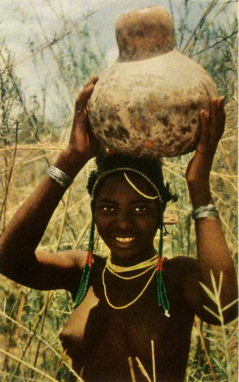 justenoughisplenty:Tramping bare-skinned through thorny bush, a Ngumbi girl balances a gourd of prec