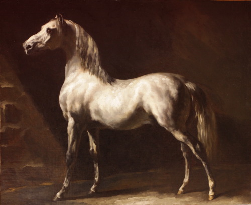 Study of a Gray-White Arabian HorseThéodore Géricault (French; 1791–1824)ca. 1812Oil on canvasMusée 