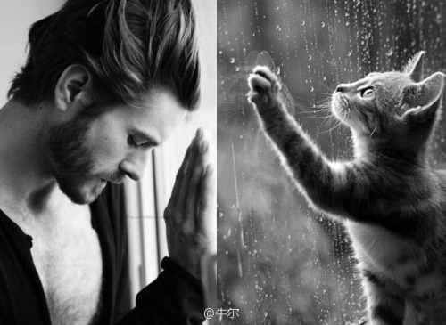 Des Hommes et Des Chatons ~ Meow ~ 