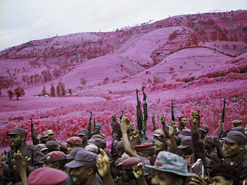 madfuture:  La Vie En Rose, North Kivu, Eastern Congo, 2010 - Richard Mosse. 