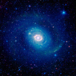 gunsandposes-history:  Welcome to Messier 94. More from NASA’s Jet Propulsion Laboratory:  How many rings do you see in this striking new image of the galaxy Messier 94 (NGC 4736) as seen by the infrared eyes of NASA’s Spitzer Space Telescope? While