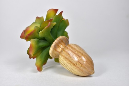 sacredsadism:  Smol Succulent SeedThis size small anal seed is perfect for the beginner butt plug explorer or whomever wishes to plant it within! With a petite 1.5″ insertable length, 3.5″ girth and 1.5″ inches of the cutest little succulent tail