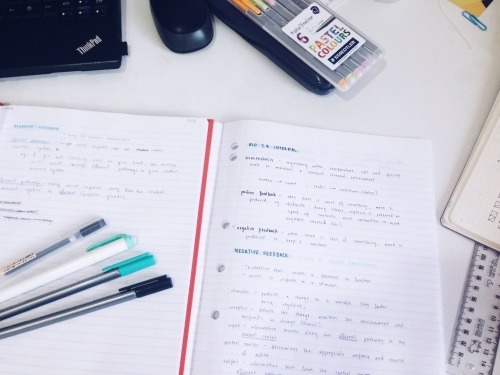 studykiwi: 13 Feb : first full week of school done and i’m already back to studying.. we’ve begun wo