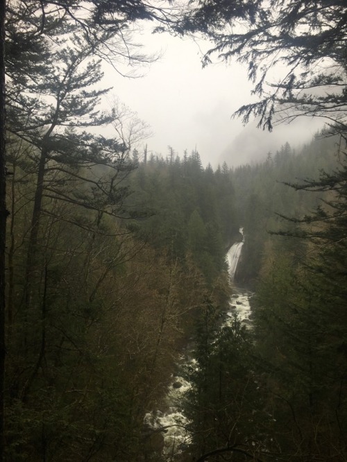 burningmine:Twin Falls State Park, April 2018It was so rainy that I couldn’t take my camera out all 