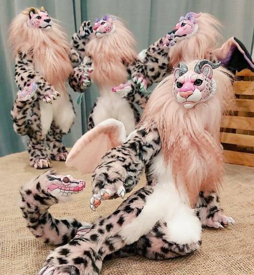 Almost forgot to post this batch of chimeras! I looove this peachy pink feather fur so much. Definit