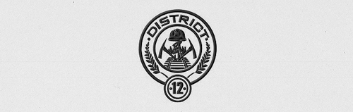  DISTRICTS OF PANEM [part one]       