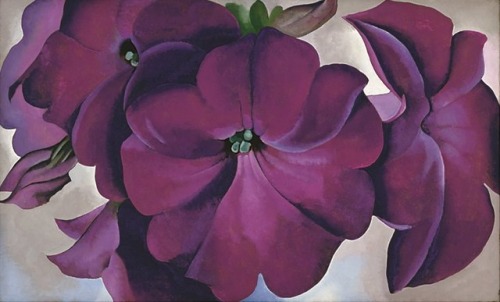 antipahtico:Petunias ~ Georgia O’Keeffe1928