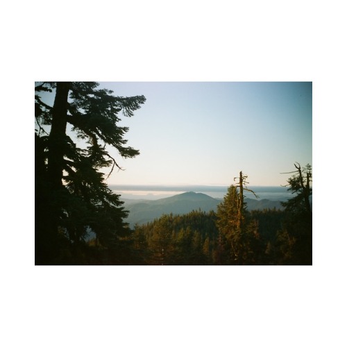 benjamindodd:more oregon, film.