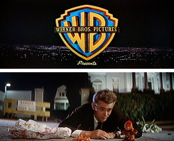  The Warner Brothers logo flashed on the