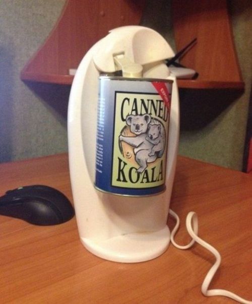 bluebirdsonawire:one-handsome-devil:pr1nceshawn:What Canned Koala looks like…I WANT TWELVE.