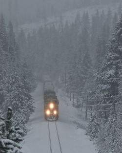 bluepueblo:  Snow Train, Blue Mountains,