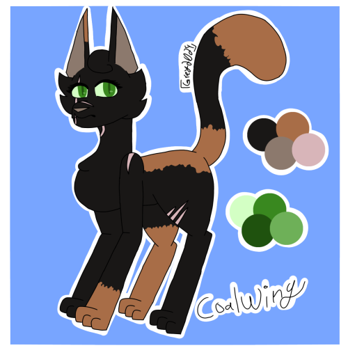 A Few More BirchClan Kitties :)