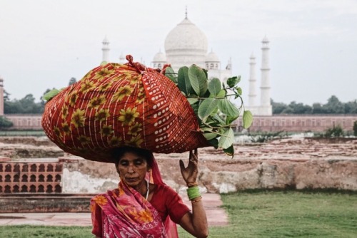 Taj Mahal, Agra. 25 September 2017.