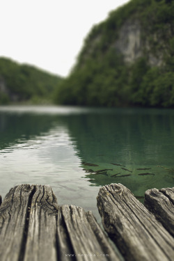 decepticun:  Parque Nacional de los Lagos