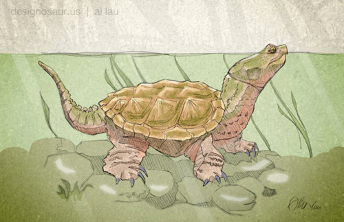 Snapping Turtle (digital version)